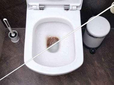toilet flushes but poop stays